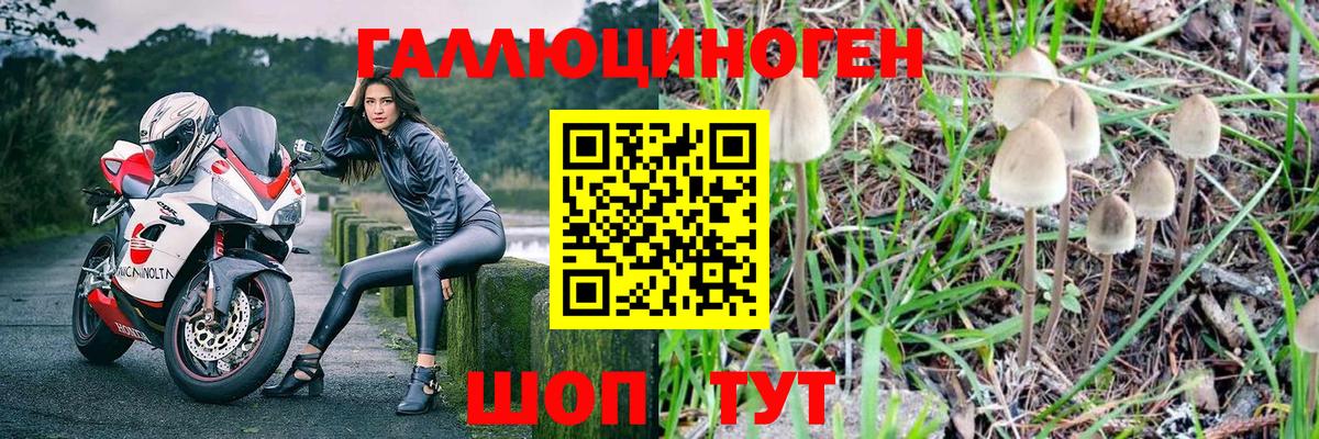 Галлюциногенные грибы GOLDEN TEACHER  Вход с VPN  сколько стоит  Псилоцибиновые грибы Psilocybine cubensis  Добрянка 