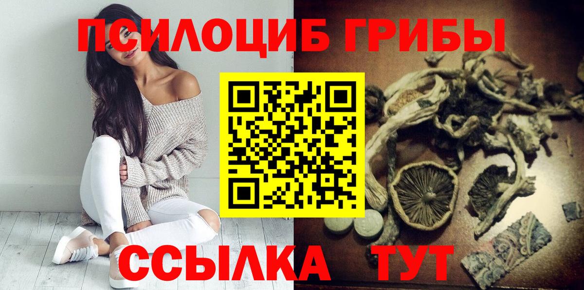 Псилоцибиновые грибы мицелий Добрянка