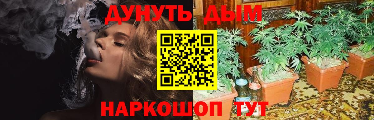 Бошки Шишки марихуана  Вход с VPN  Добрянка  Бошки марихуана конопля  Канабис план 